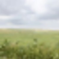 Aregood Family Ranch images 3