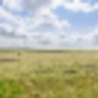 Aregood Family Ranch images 4