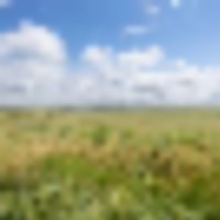 Aregood Family Ranch images 5