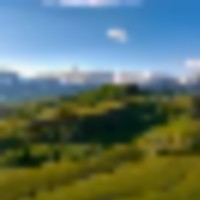Homewood Ranch