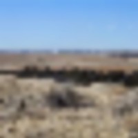Sedgwick County CRP-Grass