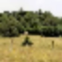 Colorado Recreational Hunting Ranch images 1