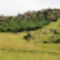 Colorado Recreational Hunting Ranch images 2