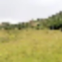 Colorado Recreational Hunting Ranch images 3