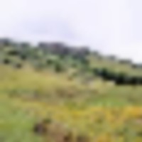 Colorado Recreational Hunting Ranch images 5