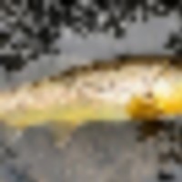 Byers Canyon Ranch images 1