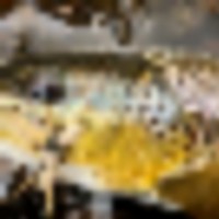 Byers Canyon Ranch images 5