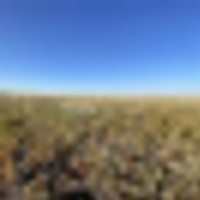 CRP Quarter Paying 5 057 Annually Until 2028 images 3