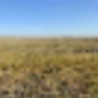 CRP Quarter Paying 5 057 Annually Until 2028 images 4
