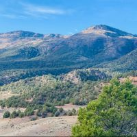 Yarmony Mountain Hunting Ranch