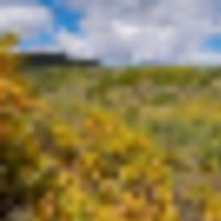 Doc Utterback Ranch images 4
