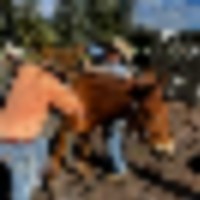 Aspen Colorado Outfitting Business for Sale images 5