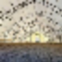 Blue Rose Ranch images 4