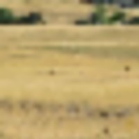 Pounds Ranch