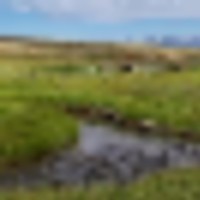 19647 CR 4048 10 Acres