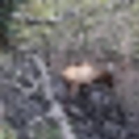 Doc Utterback Ranch images 2