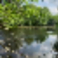 58772273_2396899517197911_2753770143560499200_n__resize-thumb
