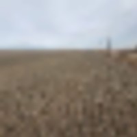 Roderick Farm