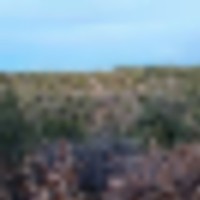 Lot 6 Gurly Canyon Ranch images 3