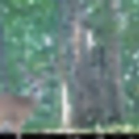 59b7ef03-9619-44fa-a470-05b0a7d3c48b__resize-thumb