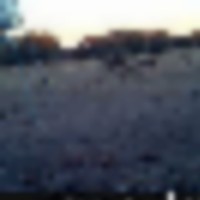 5_Buck_Under_Feeder__resize-thumb