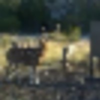 5b5bac6d-4e4a-42da-88c0-f6db0e6de8ea__resize-thumb