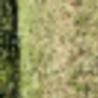 5b5dc012-ad8d-4182-95a3-19b3668e10c7__resize-thumb