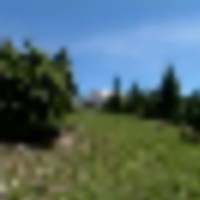 12 Timber Ridge at Cordova Pass images 2