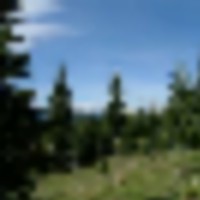 12 Timber Ridge at Cordova Pass images 4