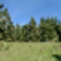 12 Timber Ridge at Cordova Pass images 5