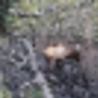 Doc Utterback Ranch images 2