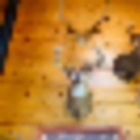 621274be-1444-4bb4-8d3c-4fbd5c1694d0__resize-thumb