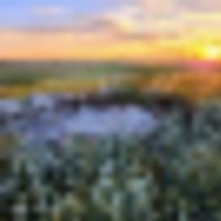 Potential Building Site With Amazing Views And Mature Shelter Belt images 5