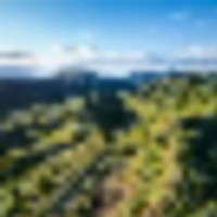 Buffalo K Ranch images 1