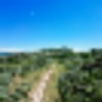 Buffalo K Ranch images 5