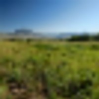 Needle Creek Ranch images 3