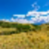 Little Horn Ranch