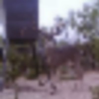 63e44fff-effa-42f8-a687-1c70fc2f3547__resize-thumb