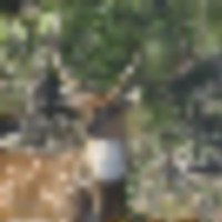 640a3398-228f-480f-b9e5-636b35ea207f__resize-thumb