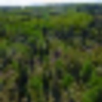 64490613_2360101704313067_4301226609538498560_n__resize-thumb