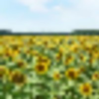 65241028_1221083731393022_2099979029078605824_n__resize-thumb