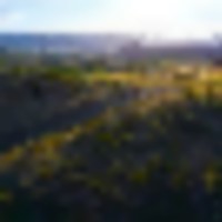 Rocks and Pines at Mile High Ranch images 1