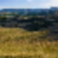 Rocks and Pines at Mile High Ranch images 3