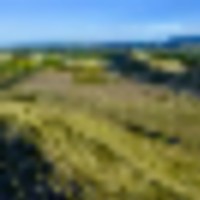 Rocks and Pines at Mile High Ranch images 4