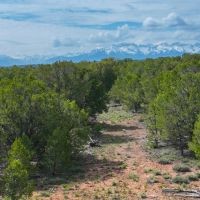 44 Acres In Ouray County