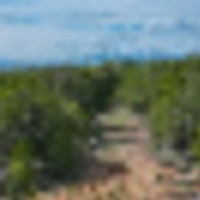 44 Acres In Ouray County