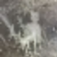 67680445-1ac4-447e-b724-184528b7a033__resize-thumb