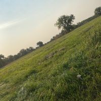 100 acres Milk River irrigated prime white tail -pheasant property