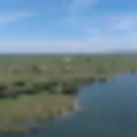 N Sterling Lakefront Hunting Pasture images 5