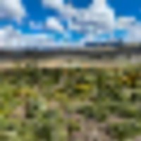 Placerville Ranch images 3
